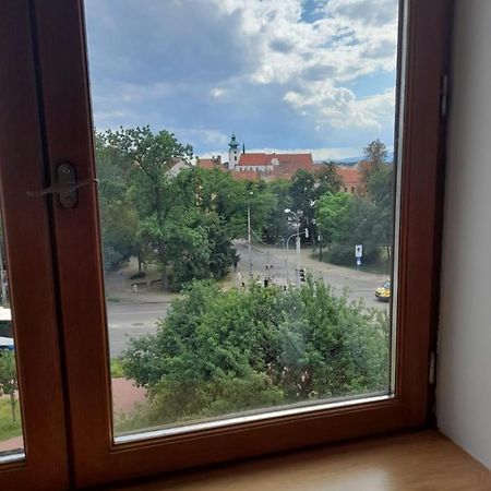 Appartamento Riegrova Ceske Budejovice Esterno foto